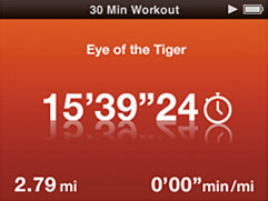 new_nike_ipod_interface.jpg