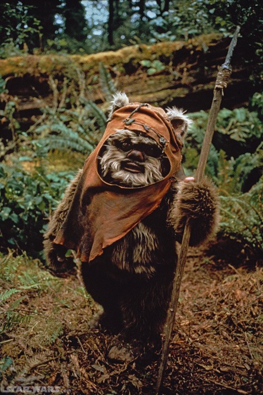 ewok1